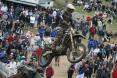 David Philippaerts