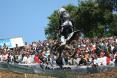 David Philippaerts