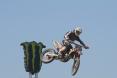 Nick Triest