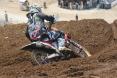 Shaun Simpson