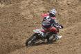 Max Anstie
